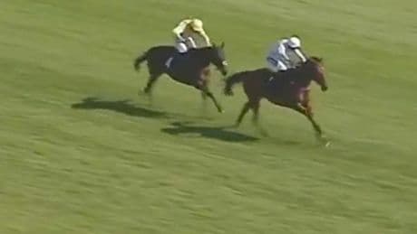 Trainer ‘shocked’ after massive gamble on horse which won after monster 903-day absence