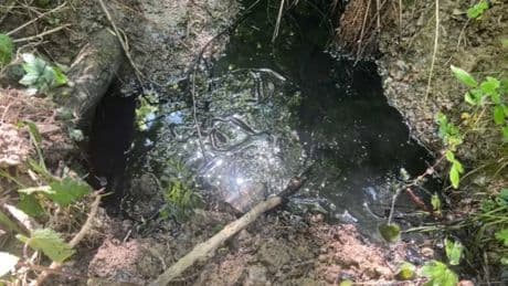 "On a beaucoup de colère": une rivière du Rhône polluée par un déversement d'hydrocarbure