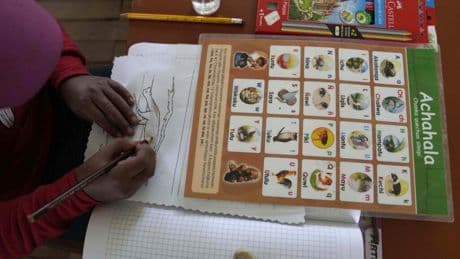Le dernier mot: quand les langues disparaissent
