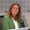 Loi Duplomb : la patronne des Écologistes Marine Tondelier se dit "très soulagée" par la décision du Conseil constitutionnel