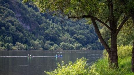 Wetter: Temperaturen bis 34 Grad in Rheinland-Pfalz und im Saarland