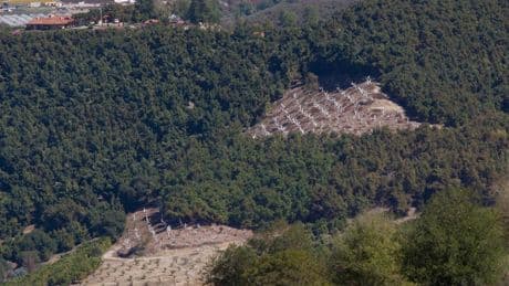 How Agrifood Giants Are Falling Short On Real Nature Risk