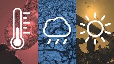 Ist dieser Sommer noch normal? Der tägliche Check