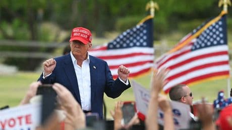 Veteran political reporter reveals what the media missed about Trump's appeal to Americans in 2024