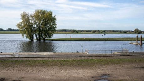 Leichenfund: Polizei identifiziert Toten aus der Elbe bei Coswig