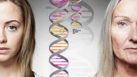 Biologisches Alter lässt sich laut Harvard-Studie in wenigen Tagen zurückdrehen