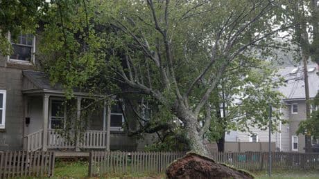 It’s going to be an active hurricane season, but impact on Atlantic Canada yet to be seen