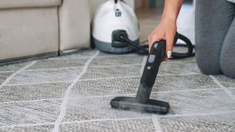Schimmelgefahr & Schäden: Was Sie auf keinen Fall mit dem Dampfreiniger reinigen sollten