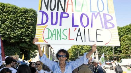 Benjamin Morel : « Le million de signatures contre la loi Duplomb n’aura aucune conséquence »