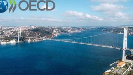OECD, Türkiye ekonomisinin yüzde 2,9 büyüyeceğini tahmin etti