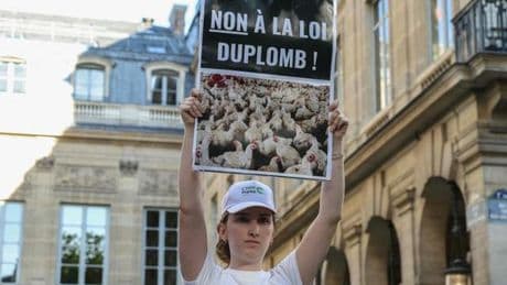 Loi Duplomb : Emmanuel Macron promulgue le texte après la censure partielle du Conseil constitutionnel