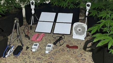 Uzaktan kontrolle metruk binada uyuşturucu yetiştirdi