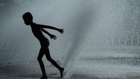 Wetter: Hitze in Bayern: Badetote, leidende Bäume und mehr Hitze