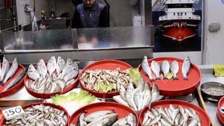 Tezgahlarda balık çeşitliliği sürüyor