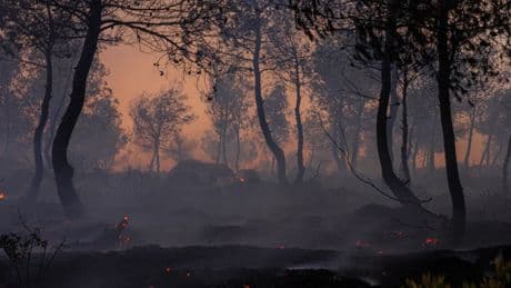 Grecia también está en alerta roja: despliega 5.000 bomberos para combatir decenas de incendios