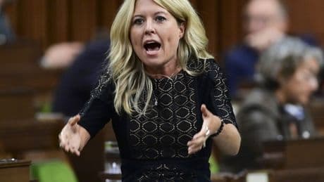 Conservatives aiming to amend Criminal Code so immigration status won't be a factor in sentencing