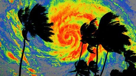 Trump administration suspends FEMA employees who warned about disaster response