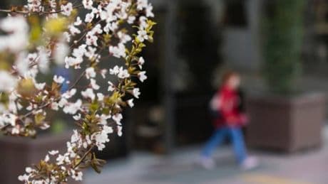 Meteorolojik kaynaklardan yeni uyarı geldi! Cuma Cumartesi’ye dikkat: Bu seferki diğerlerine benzemiyor