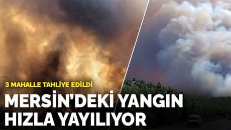 Mersin’deki yangın hızla yayılıyor: 3 mahalle tahliye edildi