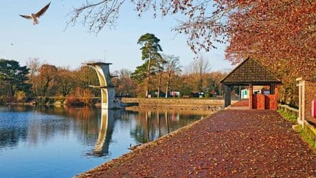 The stunning English pleasure lake with abandoned diving boards… where swimming is banned