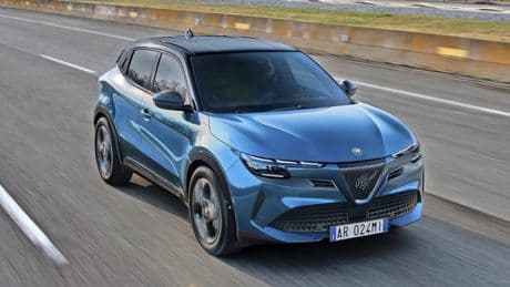Alfa Junior Ibrida: Ein Stich in Seniors Herz
