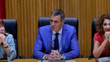 Pedro Sánchez interviene en la reunión interparlamentaria del PSOE, en streaming