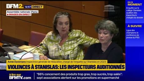 Collège Stanislas : une inspectrice générale évoque "la terreur de certains témoins"