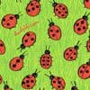 Wimmelbild der Woche - Finden Sie den einzigartigen Marienkäfer?