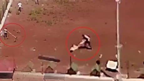 Dehşet drone kamerasıyla kaydedildi! Hayvan barınağındaki şiddete soruşturma
