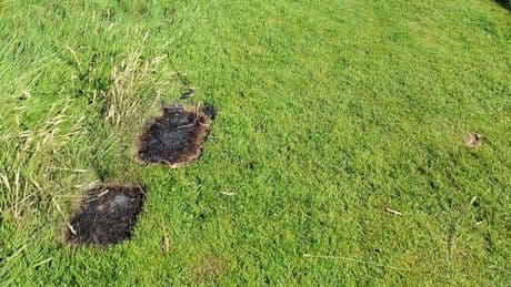 Staff 'very disappointed' after disposable BBQs lit at historic Scots battlefield