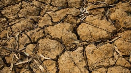 Haut-de-France: une sécheresse historique dans la région en ce début de printemps