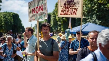 Loi Duplomb sur l’agriculture : députés et sénateurs actent de nombreux reculs écologiques
