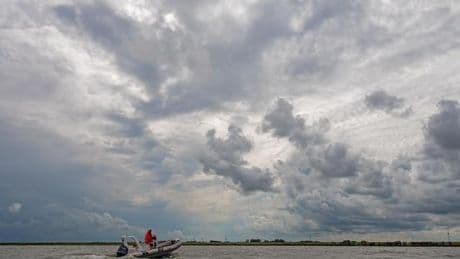 Wetter: Sturmböen und Schauer - wechselhafter Wochenstart im Norden