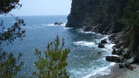 Una playa sin cobertura y rodeada de pinos: el tesoro mejor guardado de la Costa Brava