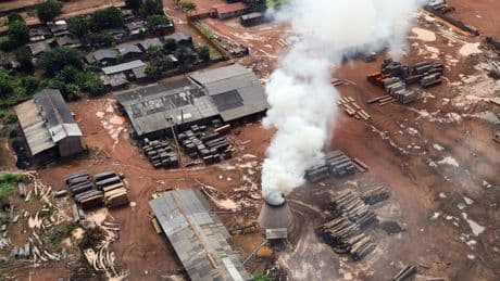 Brasilien: Kongress killt Klimaschutz