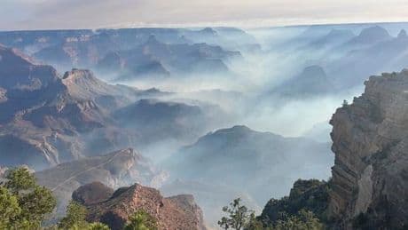 Au Grand Canyon, des centaines de touristes évacués en raison d’un vaste incendie à la progression très rapide