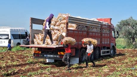 Çiftçi fiyatları resmi enflasyonun 10 puan altında kaldı
