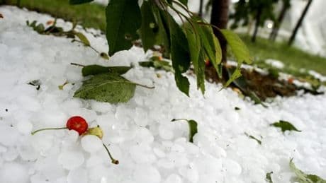 Orage de grêle: les intempéries vont coûter 334 millions d'euros aux assureurs