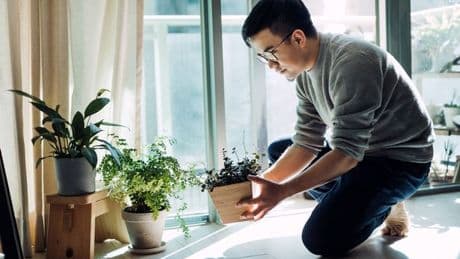 Gardener's simple trick to keep plants watered while you're on holiday using one item