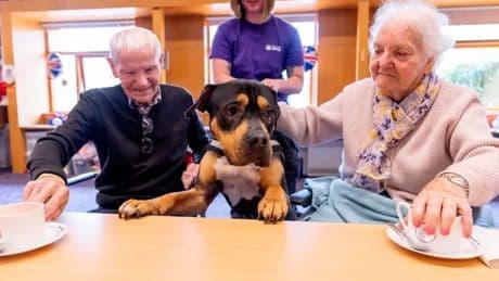 Renfrewshire veterans charity and Scottish SPCA launch partnership to tackle loneliness