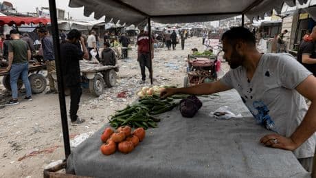 $25 Butter and $40 Eggs: The Search for Food in Gaza