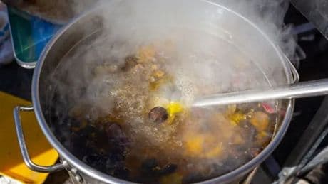 Schoolkok vindt slang in pan en laat eten toch opdienen: honderd kinderen ziek in India