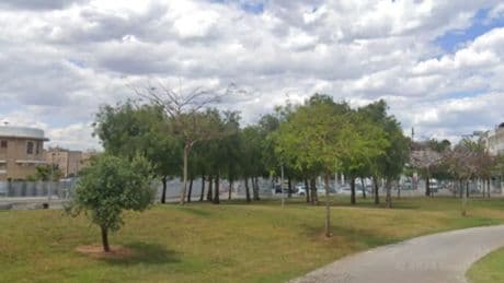Hospitalizadas una mujer y su hija tras caer un rayo en el árbol donde se refugiaban de la lluvia en Valencia