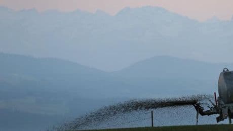 Urteil: Gülle wird in Pool geweht - Landwirt muss zahlen