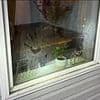 Beds where Idaho murder victims died and creepy handprints on window seen for first time after Bryan Kohberger sentencing