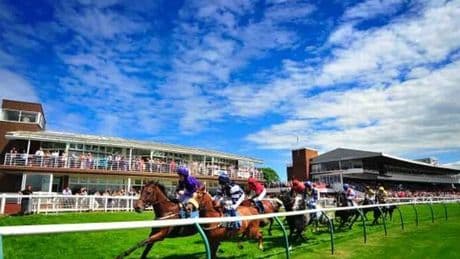 Newsboy's Nap and other racing tips for 3 UK meetings on Sunday
