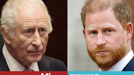 Prince Harry's 'shock over going too far' with King bombshell as he 'faces consequences'