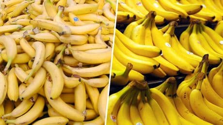 Nos cuesta mucho diferenciar un plátano de una banana. Y una red ilegal se estaba aprovechando de ello en España