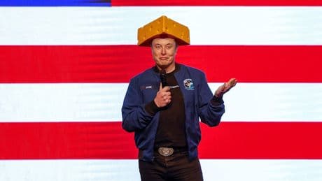 Elon Musk: Frust nach dem Kahlschlag