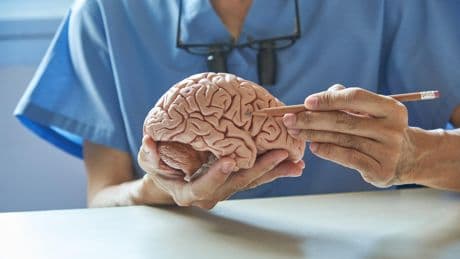 «Une sentinelle» tournée vers «notre identité profonde» : cet étrange «mode par défaut» du cerveau inactif